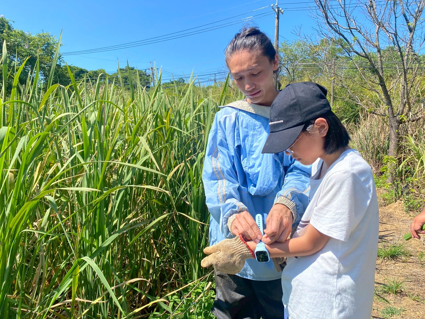 LINE_ALBUM_20251004茭白筍遊程_251008_517